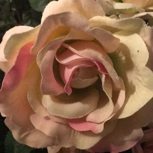 Meet your Posher, Upscale